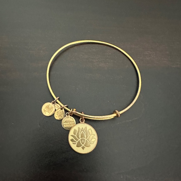 Alex and Ani Energy Lotus, Silver Path of Life, Gold Beaded Bracelet Set - Picture 5 of 9